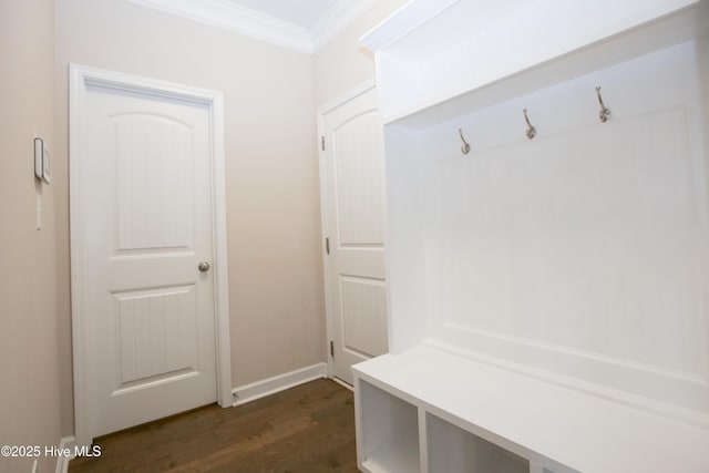 mudroom with crown molding and dark wood-type flooring