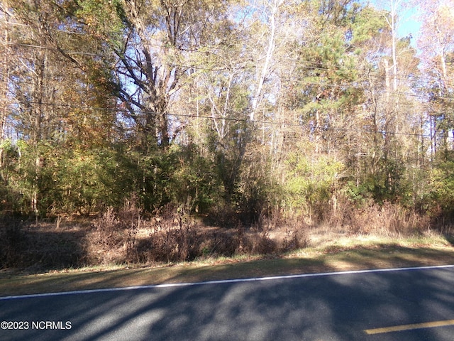 NEAR1671 Old Wilmington Rd, Whiteville NC, 28472 land for sale