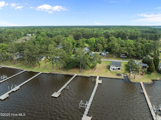 1339 Bayview Rd, Bath, NC 27808 - aerial overview of property's location featuring a forest and a large body of water