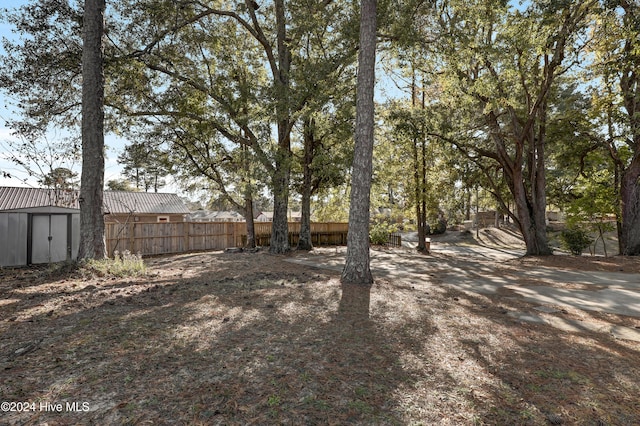 view of yard with a storage unit