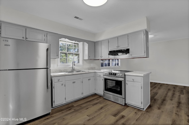 kitchen with appliances with stainless steel finishes, dark wood-type flooring, and sink