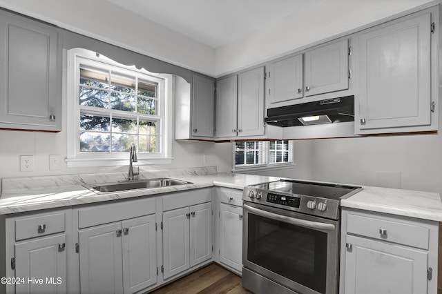 kitchen featuring dark hardwood / wood-style flooring, sink, and stainless steel range with electric cooktop