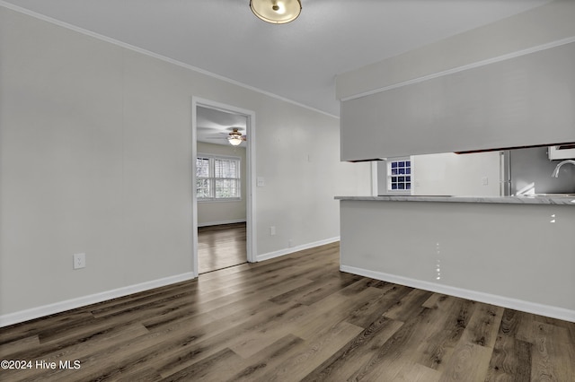 unfurnished living room featuring crown molding, dark wood-type flooring, and sink