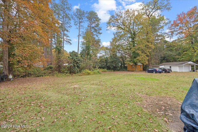 view of yard featuring a shed