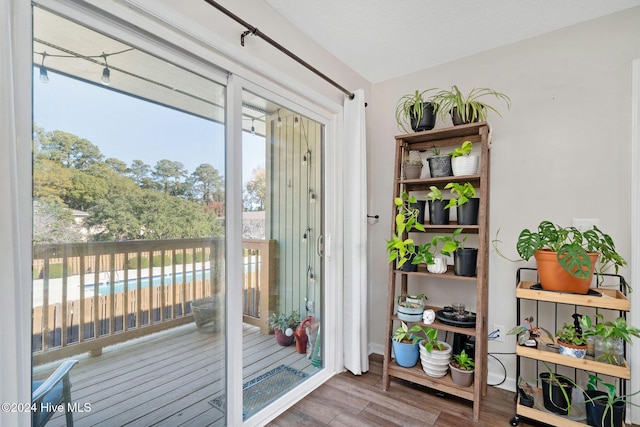 doorway with hardwood / wood-style flooring, a textured ceiling, and a wealth of natural light