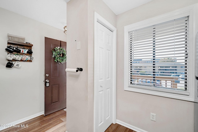 foyer entrance with hardwood / wood-style flooring