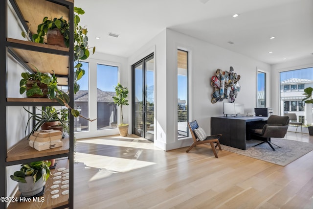 interior space featuring a wealth of natural light and light hardwood / wood-style flooring