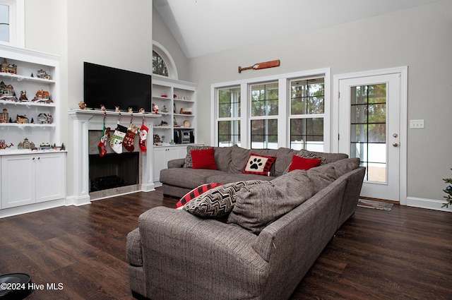 living room featuring dark hardwood / wood-style flooring and lofted ceiling