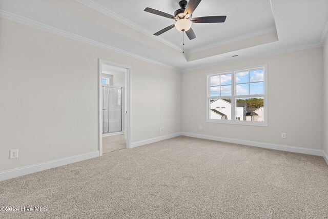 spare room featuring ceiling fan, ornamental molding, a raised ceiling, and light carpet