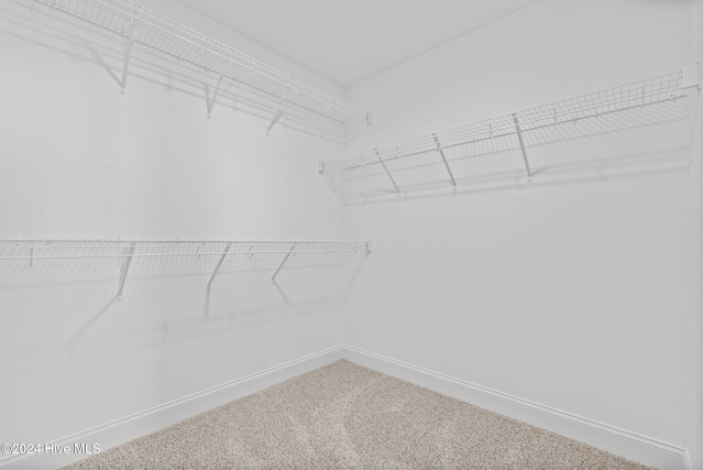 spacious closet featuring carpet