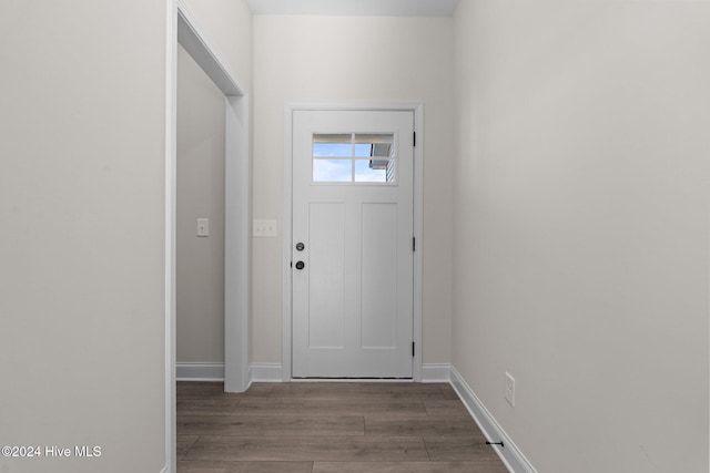 entryway with wood-type flooring