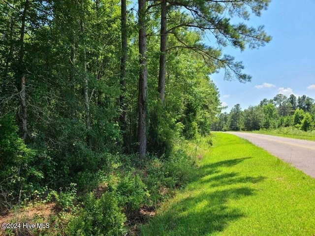 0 Lizzie Henry Rd, Ivanhoe NC, 28447 land for sale