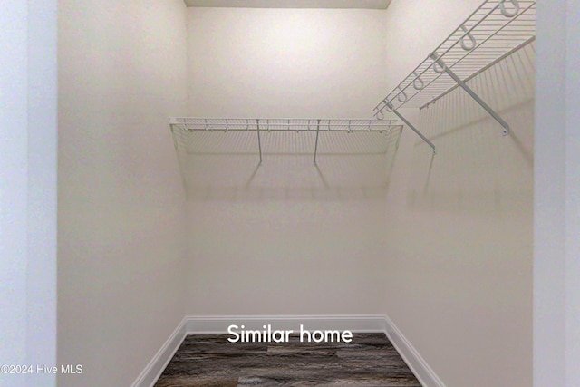 spacious closet featuring hardwood / wood-style flooring