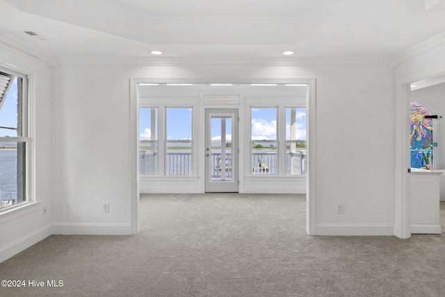 empty room featuring light carpet and crown molding