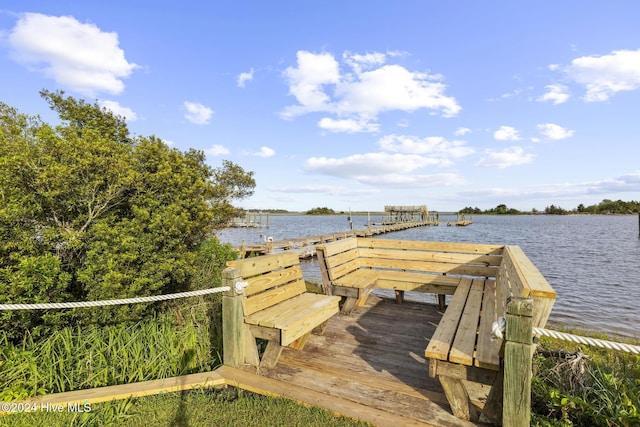 dock area with a water view