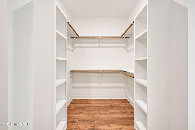 spacious closet featuring wood-type flooring