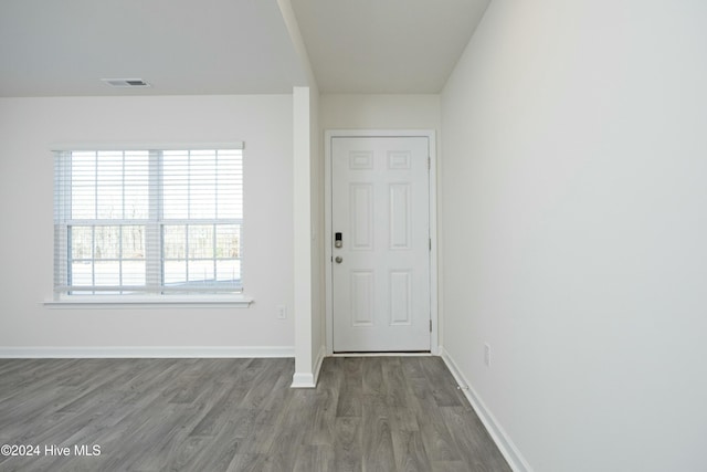 foyer entrance with wood-type flooring