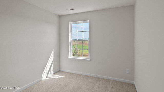 carpeted empty room featuring plenty of natural light