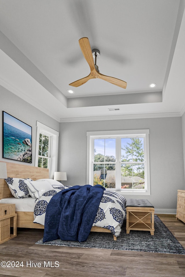 bedroom with multiple windows, dark hardwood / wood-style flooring, a tray ceiling, and ceiling fan