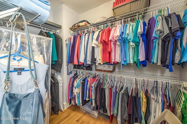 spacious closet with hardwood / wood-style flooring