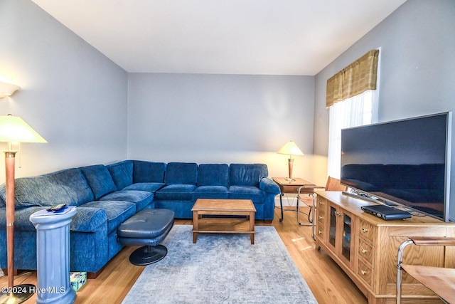 living room with light hardwood / wood-style flooring