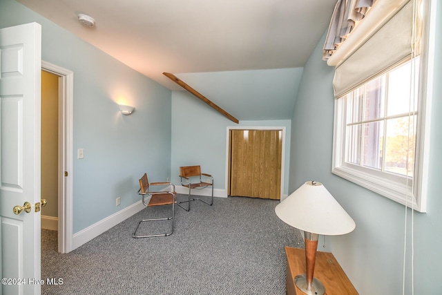 living area featuring carpet floors