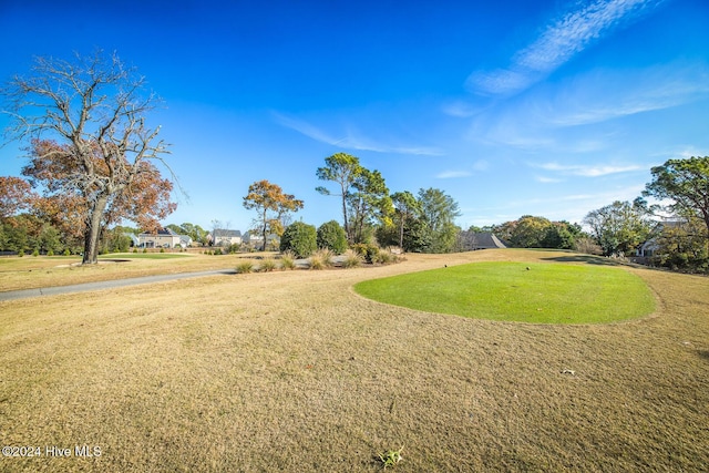 view of community featuring a lawn