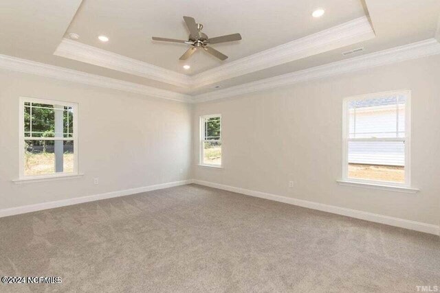 carpeted spare room with a raised ceiling, ceiling fan, and crown molding