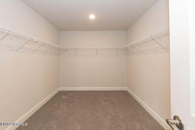 spacious closet featuring carpet floors