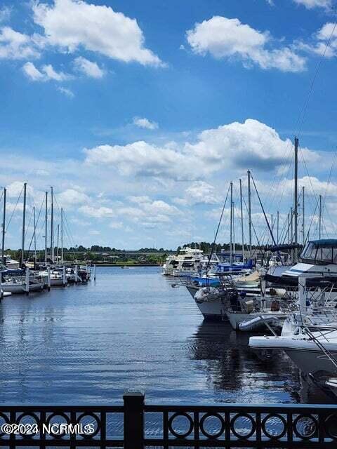 view of water feature with a dock