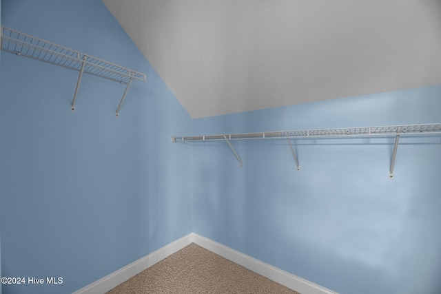 spacious closet featuring lofted ceiling and carpet floors