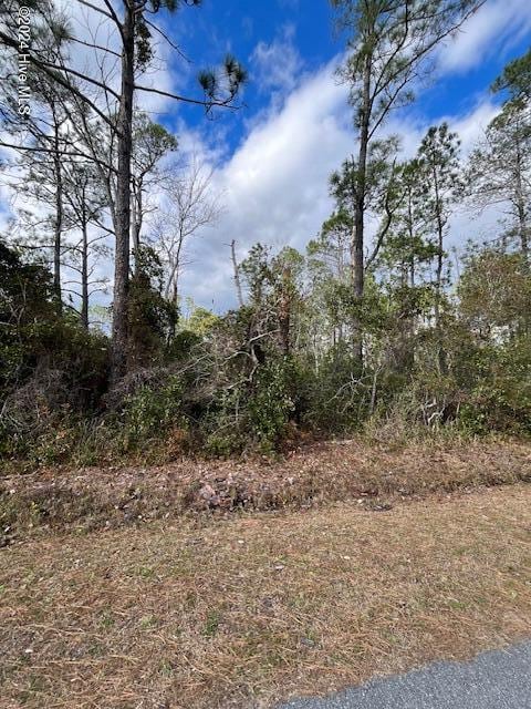 465 Edgewood Rd, Southport NC, 28461 land for sale