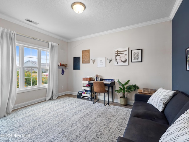 interior space featuring a textured ceiling and crown molding