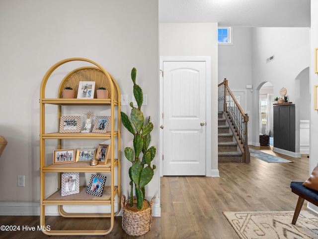 entryway featuring a healthy amount of sunlight and wood-type flooring