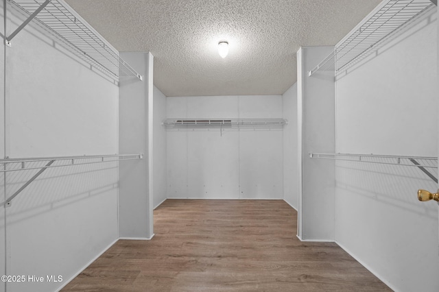 walk in closet featuring wood-type flooring