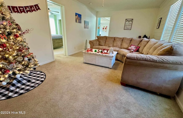 living room with light carpet