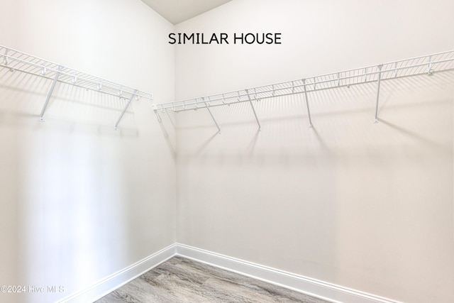 walk in closet featuring hardwood / wood-style flooring