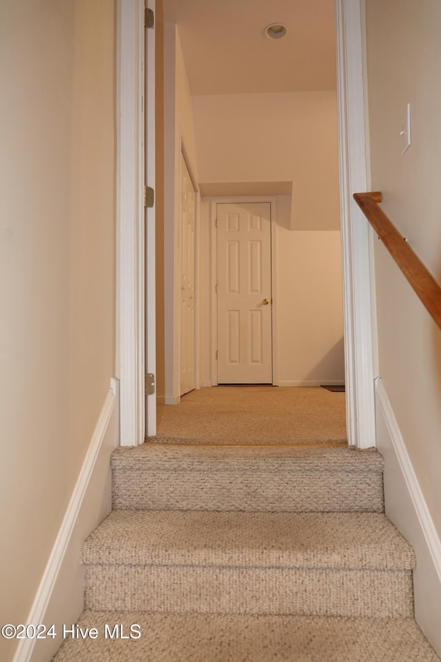 staircase featuring carpet flooring