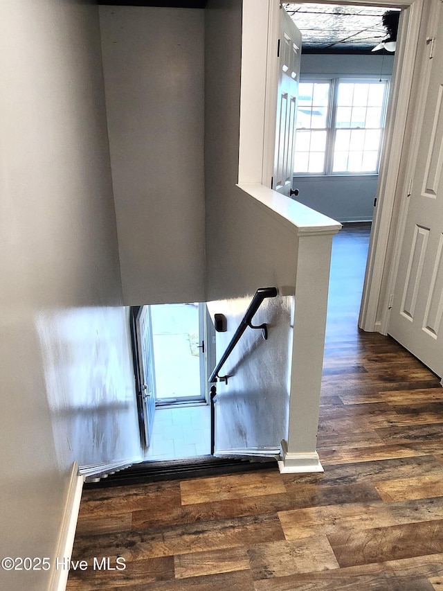 staircase with hardwood / wood-style floors