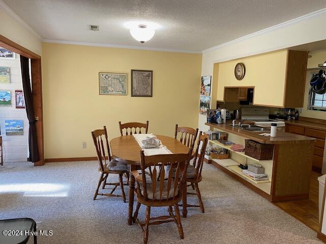 carpeted dining space with sink, ornamental molding, and a textured ceiling