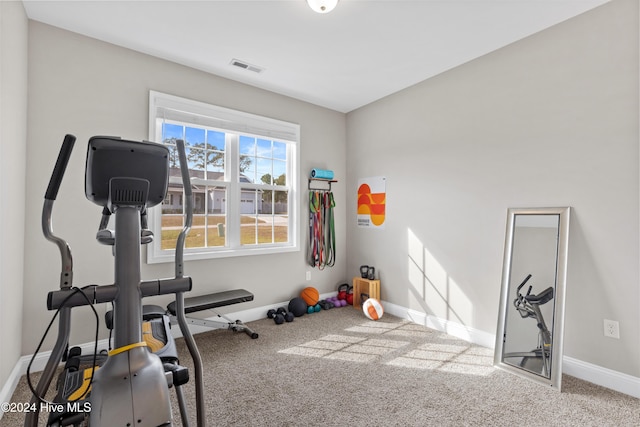 exercise area with carpet floors