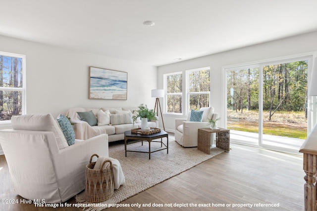 living room featuring light hardwood / wood-style flooring