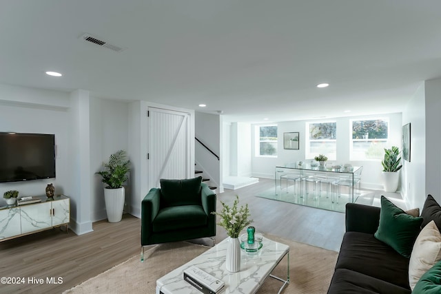 living room featuring light hardwood / wood-style flooring and a healthy amount of sunlight