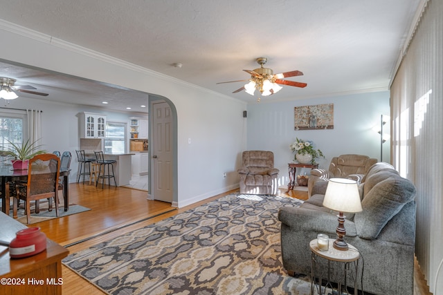 living room featuring light hardwood / wood-style flooring, a healthy amount of sunlight, and ornamental molding