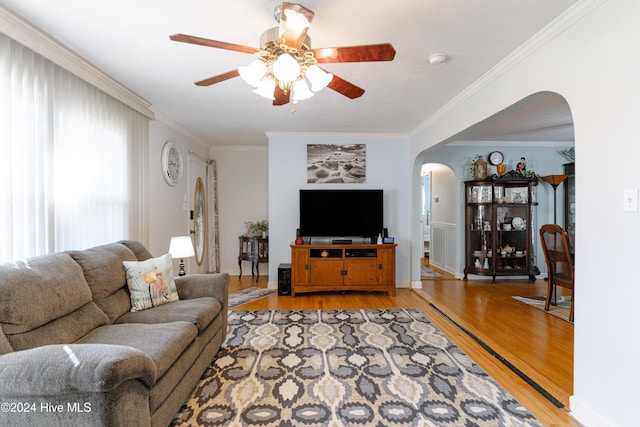 living room featuring crown molding, ceiling fan, and light wood-type flooring