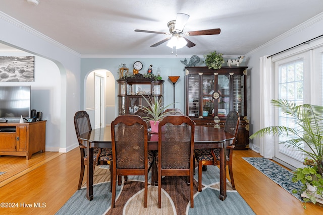 dining room featuring crown molding, hardwood / wood-style floors, and ceiling fan