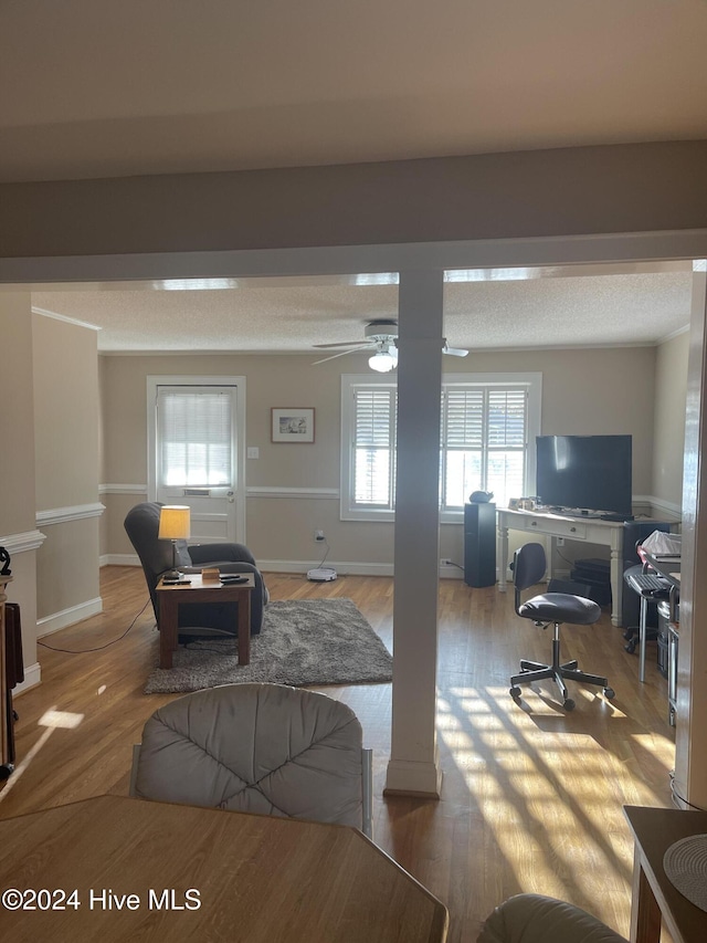 living room featuring ceiling fan and light hardwood / wood-style flooring