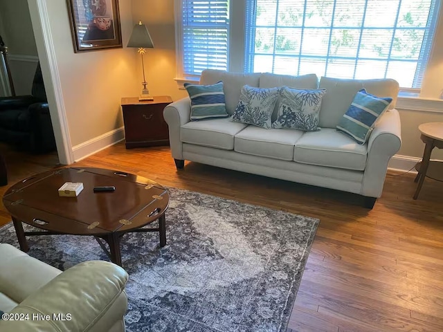 living room with plenty of natural light and wood-type flooring