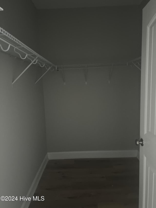 spacious closet featuring dark hardwood / wood-style flooring