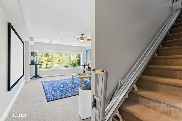 stairway with carpet floors and ceiling fan